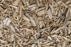 biomass boilers Tiptree